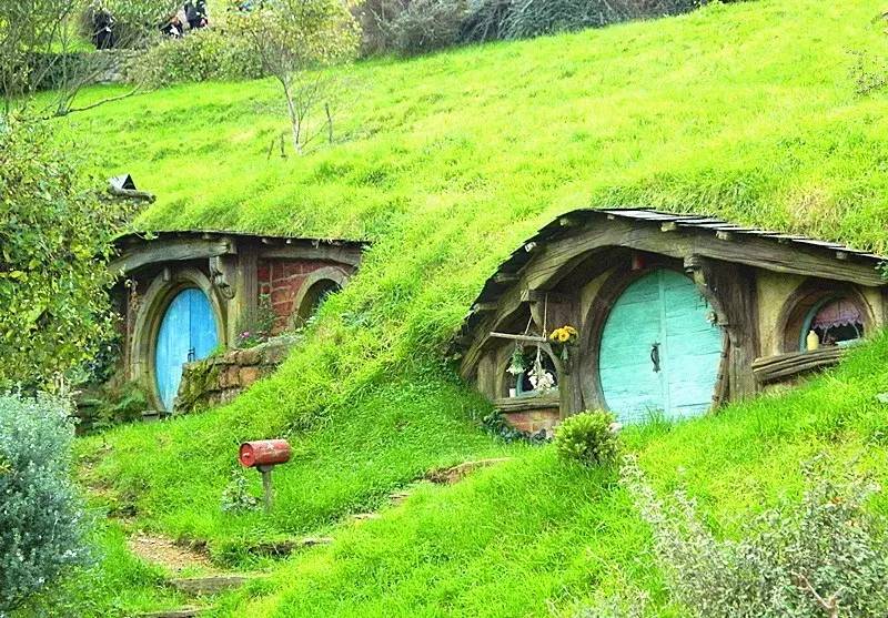 到新西兰旅游有什么好处,新西兰旅游有什么好