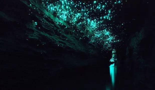 到新西兰旅游有什么好处,新西兰旅游有什么好