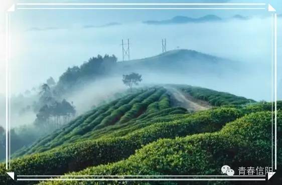 信阳周边两天一夜旅游推荐,五一信阳周边游玩攻略两天一晚