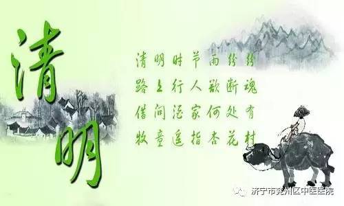 清明时节话清明作文,清明时节话清明神州大地皆清明