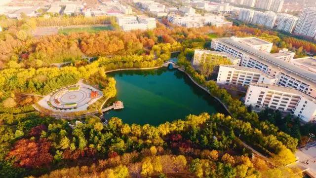 青岛农大现在情况,青岛农大放开了吗