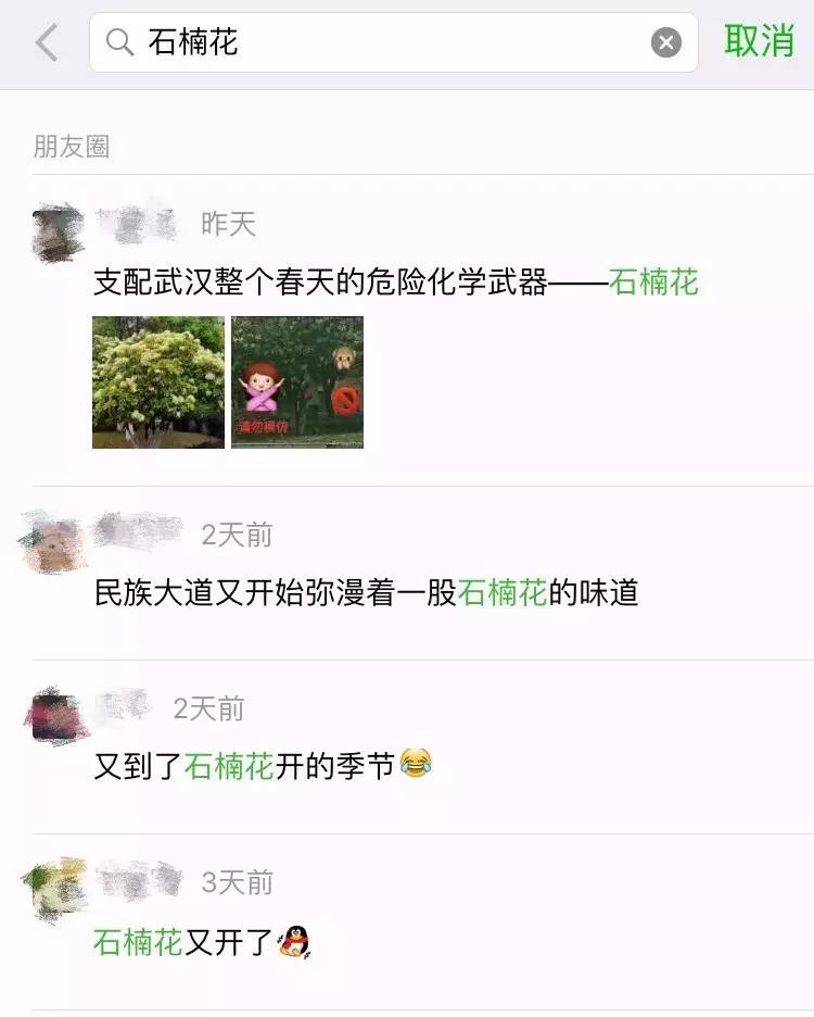 校园开启.avi模式，全因那石楠花开