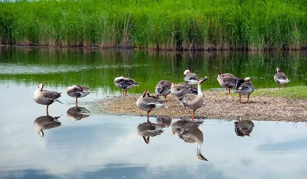 诗词创作回文诗,李煜回文诗鉴赏