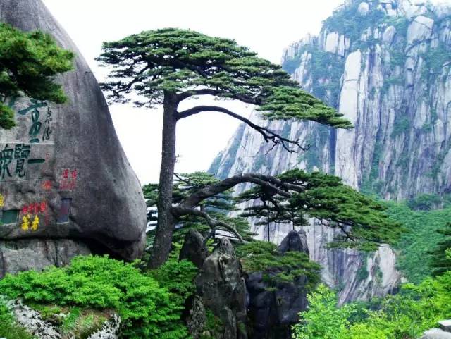 瀹夊窘鏃呮父杩庡澶╀笅,閿︾唬瀹夊窘杩庡