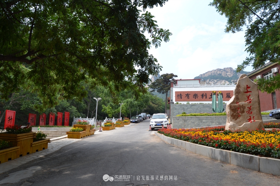 歪脖老母值得去吗,东北歪脖老母在哪个城市