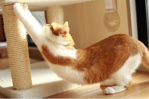 延年益寿秘诀100条,古人留下最好的益寿延年保健方法