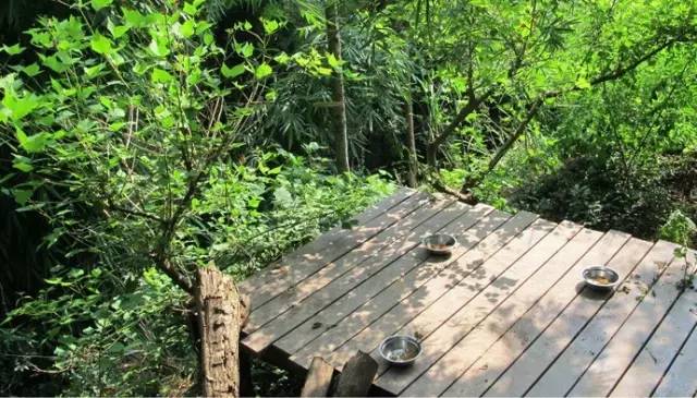 清明3天旅游攻略成都,清明成都旅游攻略学生党