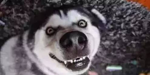 原谅我这一生不羁放纵完整版,原谅我这一生不羁放纵群星版