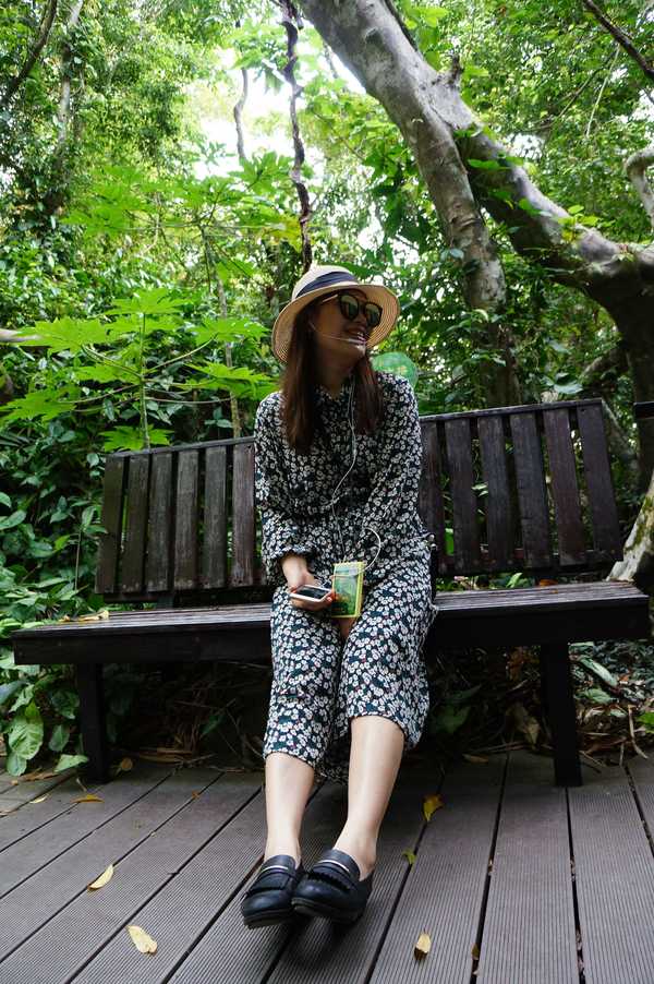 呀诺达热带雨林公园票价,呀诺达热带雨林景区官网