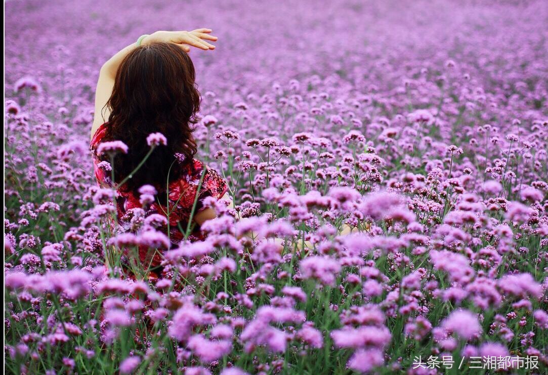赏花后皮肤会过敏吗,踏青赏花正当时花粉过敏怎么办