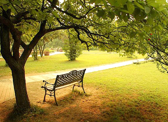 南航上铺的你(7)东洋带走教授女儿我恍然大悟:皇帝不急太监急