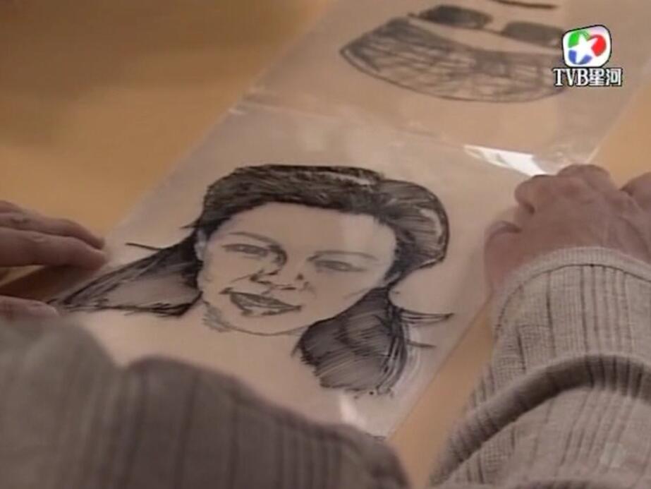 刑事侦缉档案袁天丽马成昌第五集,刑事侦缉档案袁天丽