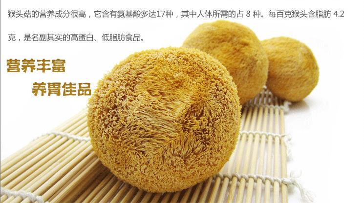 为什么说猴头菇能抗癌,猴头菇对治疗癌症的疗效