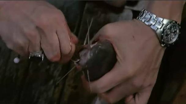 泰国最细思极恐的恐怖片,有没有泰国最恐怖的恐怖片