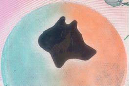 从“狼钞”引伸开来