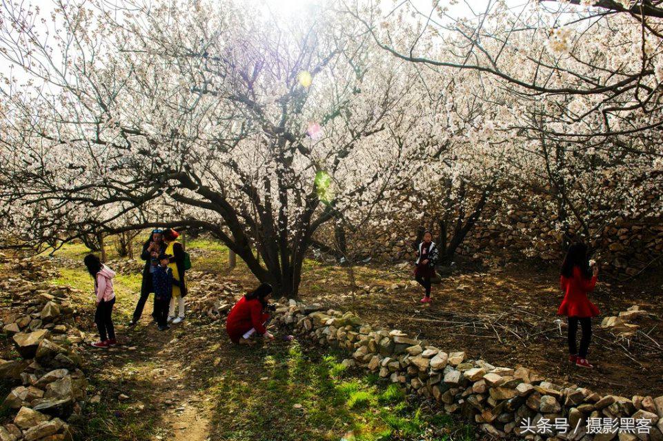 濞佹捣涔冲北妯辨,灞变笢涔冲北妯辨