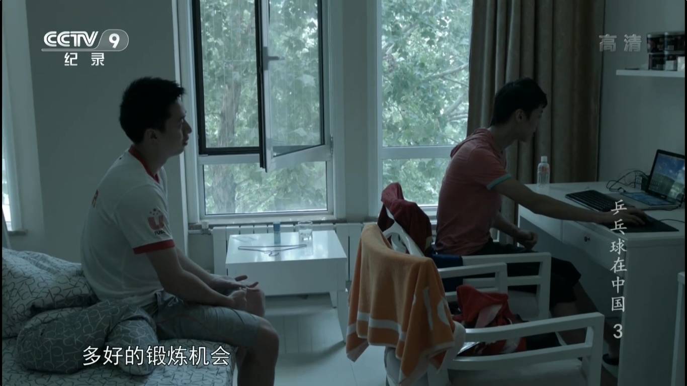 王励勤生涯,王励勤的生涯