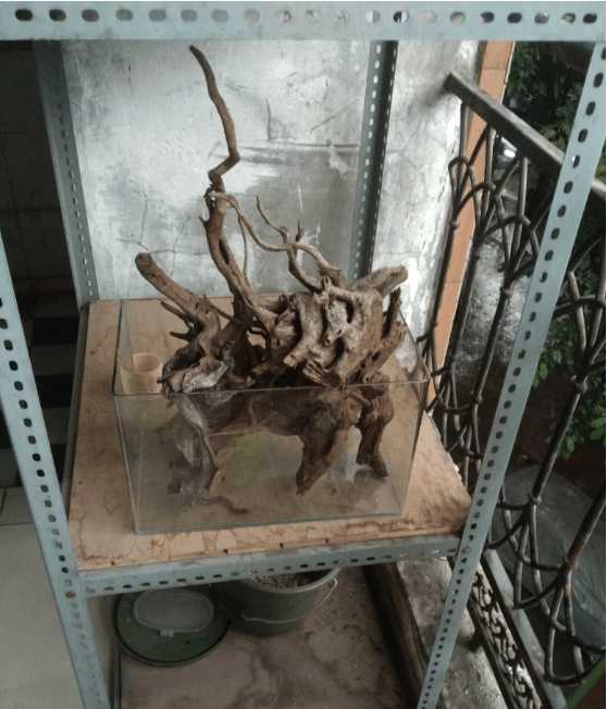 一个三米的鱼池需要多钱,一个观赏鱼池大概多少钱