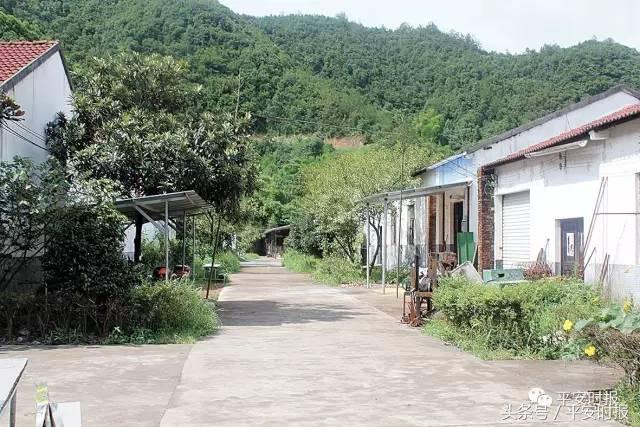 浙江温州假证窝点最新消息,温州警方查获假冒商品案