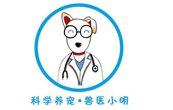 狗狗常见皮肤病及治疗方法,狗狗常见的皮肤病该怎么治