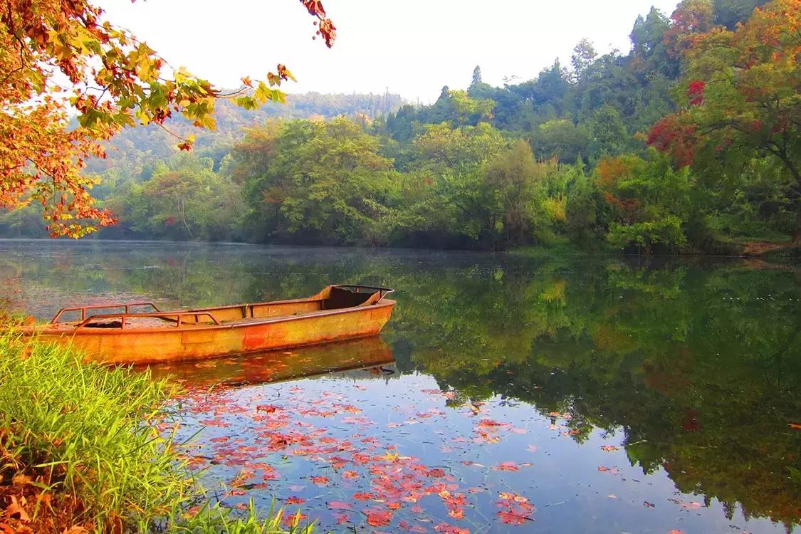 让旅行变得更好,旅行用的黑科技