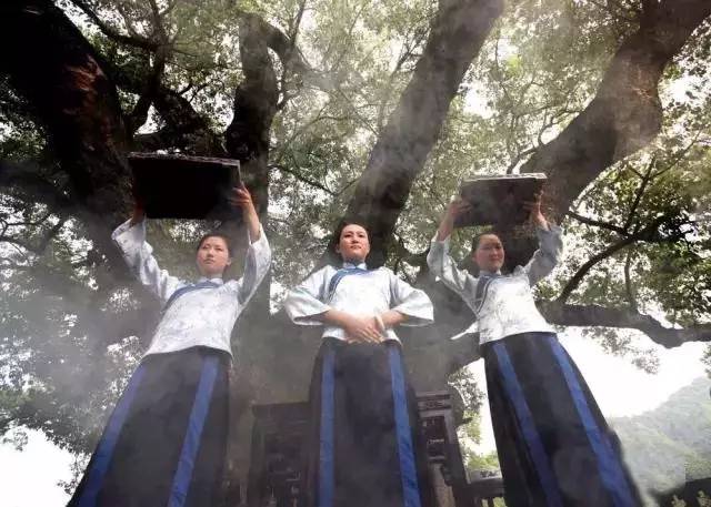 婺源绿茶,婺源绿茶千元以上啥茶