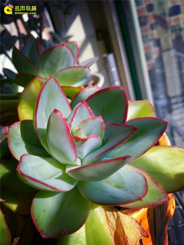 一个脚气患者的真实故事,关于癣有趣的故事