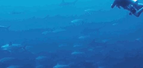 weekendescape什么意思,weekendescape