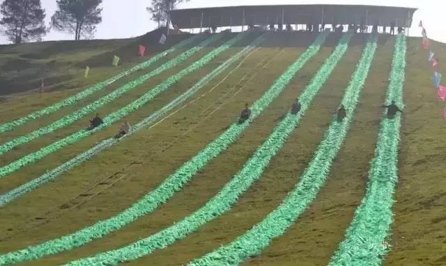 衢州过年的地域特色,衢州过年有补贴政策吗