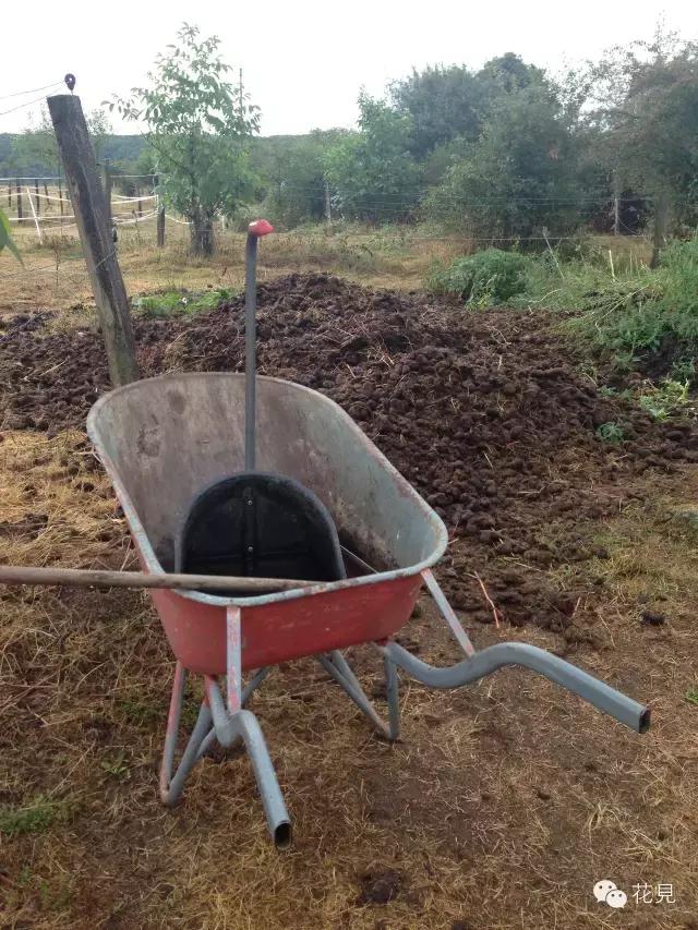 当90后都在为生活奔波还房贷，她却选择去法国农场铲马粪