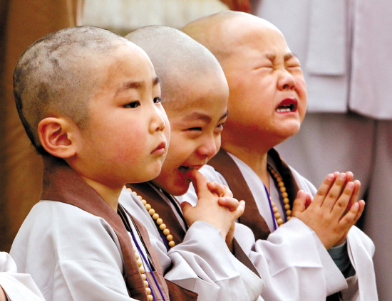 这些搞笑的段子笑得我满地找牙,有哪些令人笑到头掉的搞笑段子