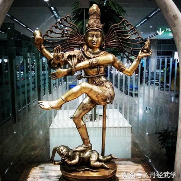 瑜伽萤火虫式的体式,瑜伽湿婆舞教学