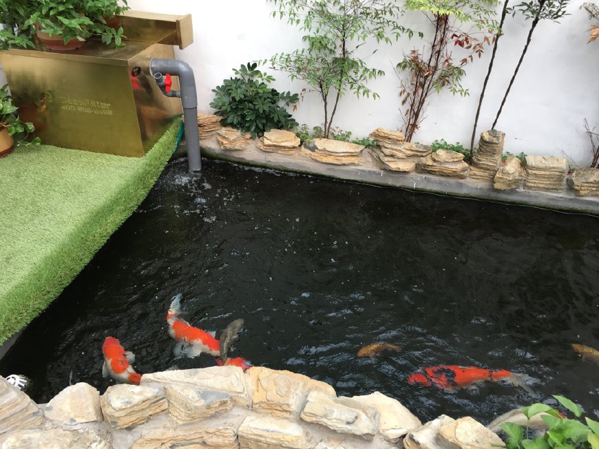 鱼池假山怎么做,假山鱼池怎么做视频