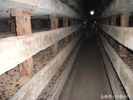 养殖致富经一年收入40万,500元养殖致富技巧