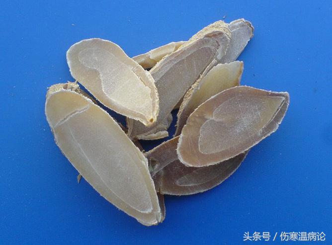 一药一方一论一案之四二