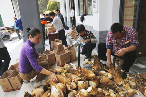 大墅镇春笋找到了吗 (大墅镇春笋新闻)