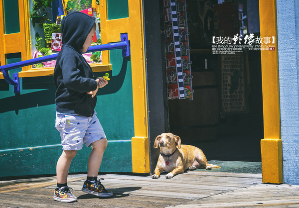 三天玩转让人怦然心动的旧金山