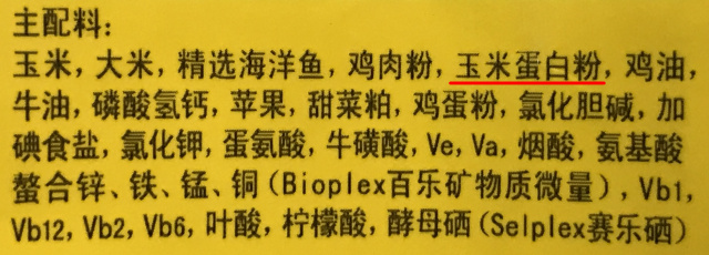 猫奴吐槽完整版,吐槽猫奴的视频