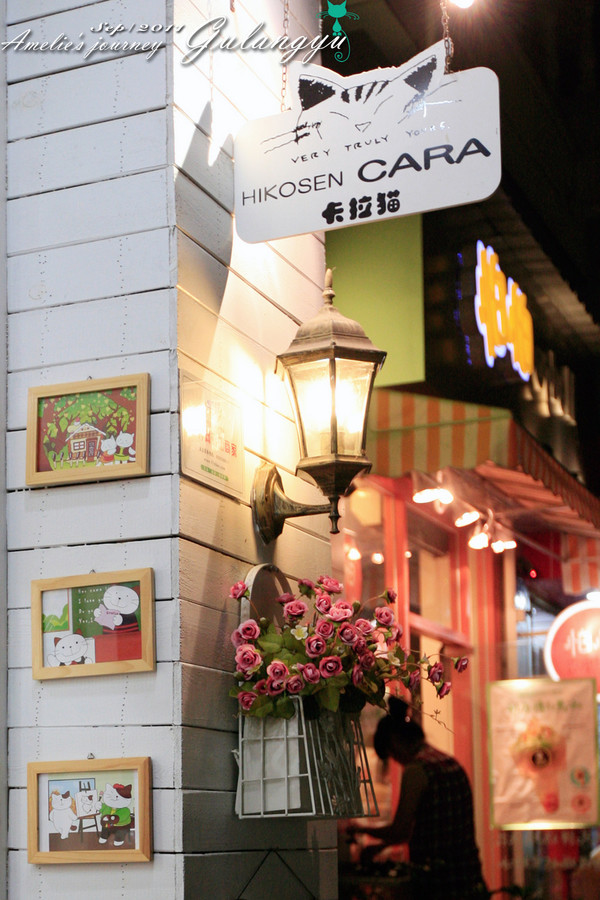 鼓浪屿旅行攻略大全,鼓浪屿旅行攻略大全最新