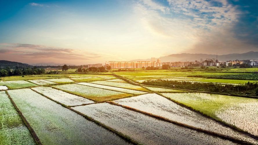 南国江山第一县,*光春**潋滟绿水长:江西峡江