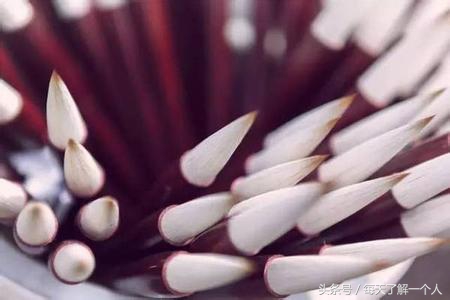 文房四宝的著名产地各是哪些地方,中国引以为傲的文房四宝产地在哪