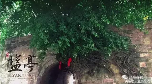 四川绵阳盐亭县历史文化,绵阳一座有故事的城市