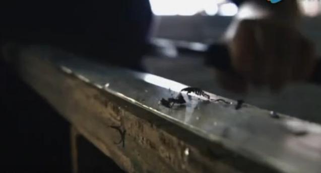 中国剑的基本功,如何判断剑的优劣