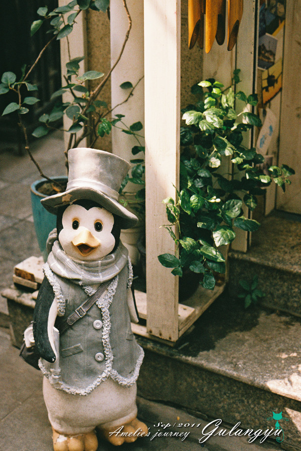 鼓浪屿旅行攻略大全,鼓浪屿旅行攻略大全最新