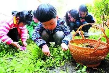 鲅鱼圈附近哪里可以挖野菜,盖州鲅鱼圈挖野菜