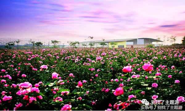 佛冈森波拉奇妙世界乐园门票,佛冈熹乐谷温泉2天游