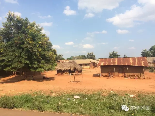 一生必去一次的非洲坦桑尼亚｜回归狂野