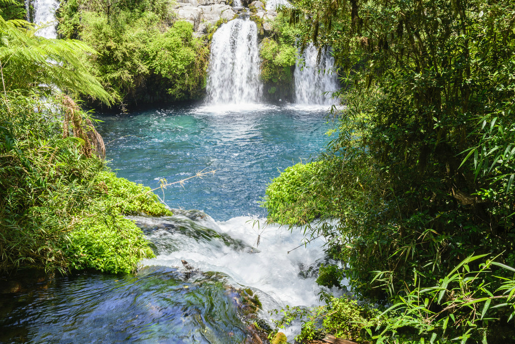 明日新股,今日新股申购解析策略