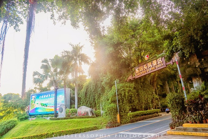 邂逅橘色夏天，让我吻你最后一次的温柔，再去三亚天荒地老