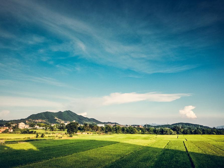 南国江山第一县,*光春**潋滟绿水长:江西峡江